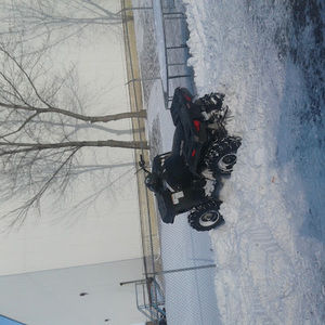 Meet your Posher, Wyatt